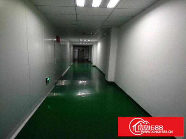 坪山区坑梓秀新社区带装修厂房三楼900平米