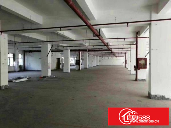 公明花园式红本独院厂房约20000平（可分租）