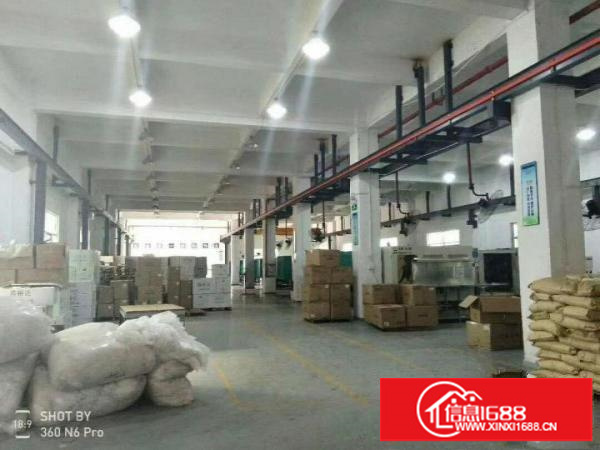 龙岗坪地新出独院厂房13层3900平米！形象好空地超大！