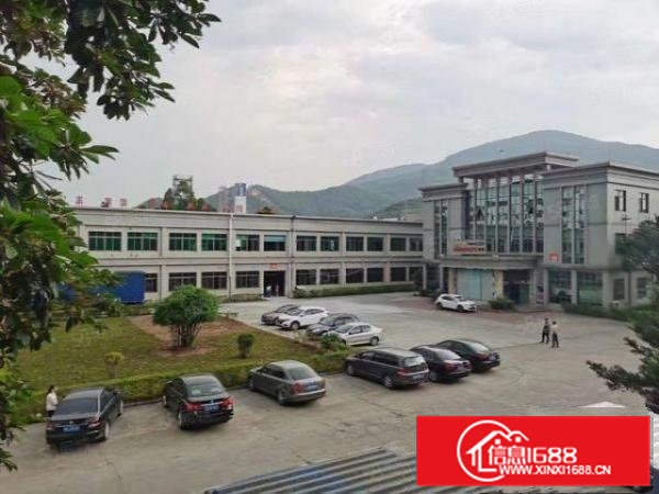 清溪新出原房东独院厂房13500平方带装修低价直租