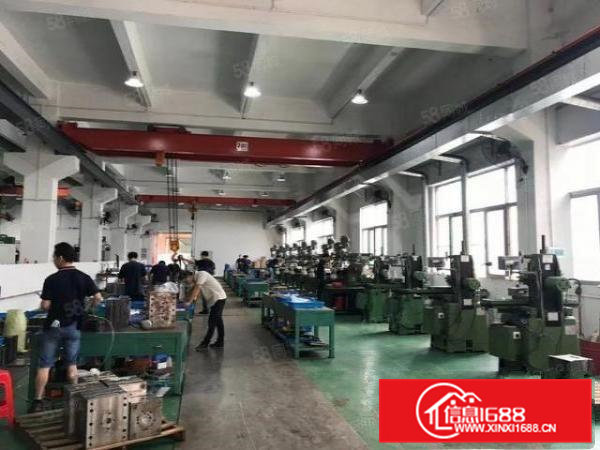 清溪浮岗新出原房东一楼1100平方带水电装修急租