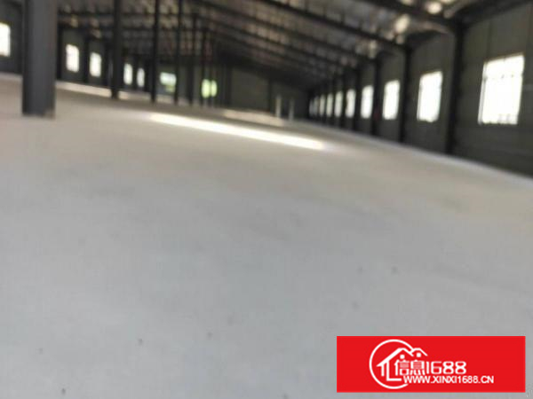 惠东白花9元厂房出租，全新两层钢构16800平米两部三吨货梯