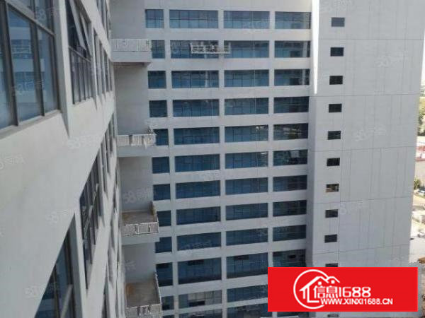 长安常平镇原房精装修厂房高品质低价厂房无公摊厂房