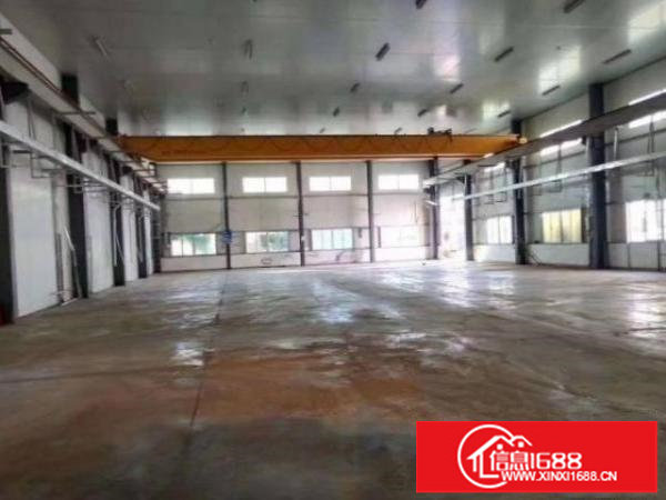 松岗红星社区独院单一层厂房出租1000，滴水8米