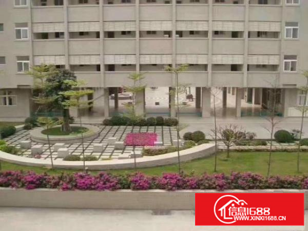 新出稀缺12米高单一层钢构厂房面积24000平方