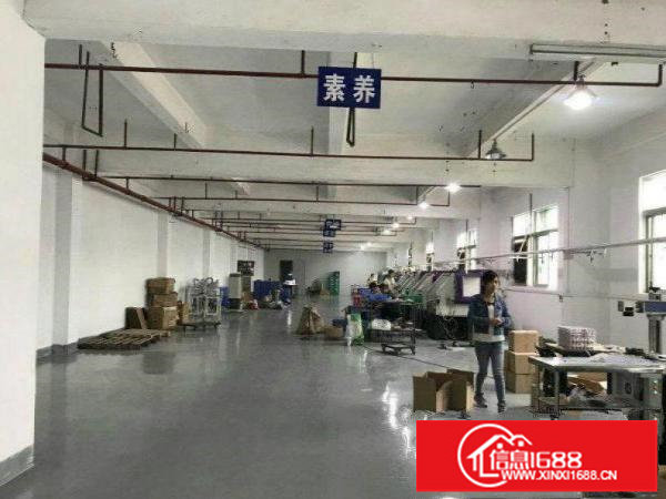 出租龙岗区龙岗大道新出二楼厂房1500平方，可分租