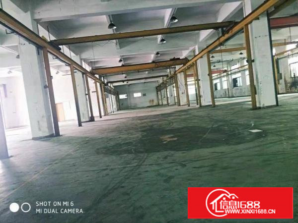 长安厦边全新一楼厂房1000平可分租牛角