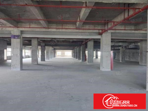 大朗常平镇厂房大面积无公摊厂房红本精装修一手物业厂房