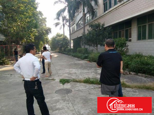 平南天好工业园标准厂房一楼层高6米4500平招租