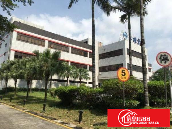 物业直租布吉丹竹头立信路一楼1000平招租（可分租）