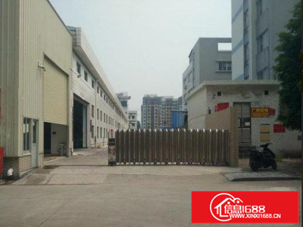 出租惠阳镇隆带地坪漆，可过环评，2000平方钢构厂房