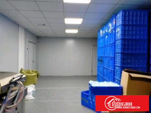 标准化无尘生产车间厂房转让