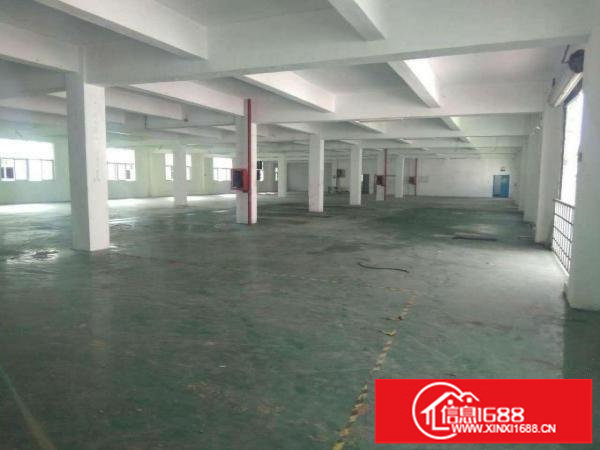 丹竹头地铁站附近原房东厂房仓库100平起分租