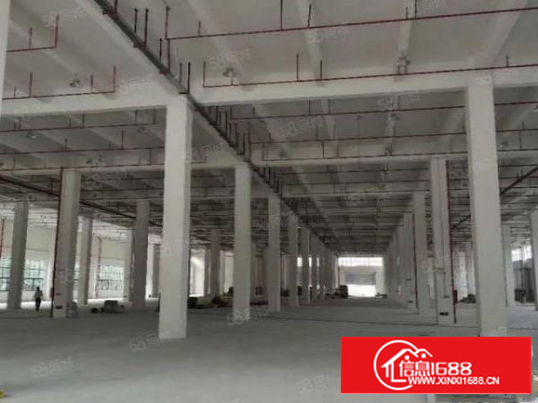 万江新出标准厂房1出租