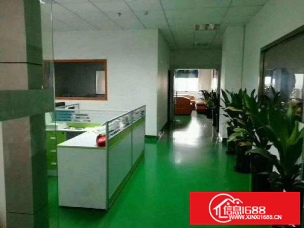 公明田寮新出楼上400平方精装修厂房出租