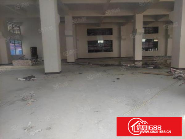 塘厦大道南原房东全新厂房出租一楼1730平可以分租价格公道