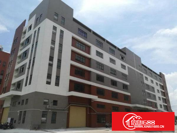 大朗大井头新出一楼厂房2000平方精装修可办环评