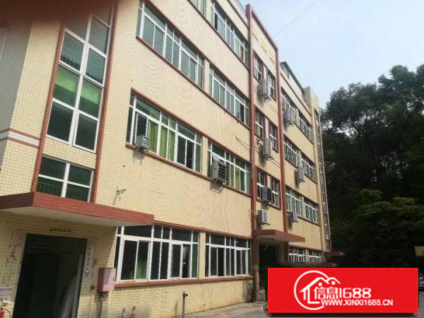 凤岗全新厂房！带精装修！1600平米，招工方便