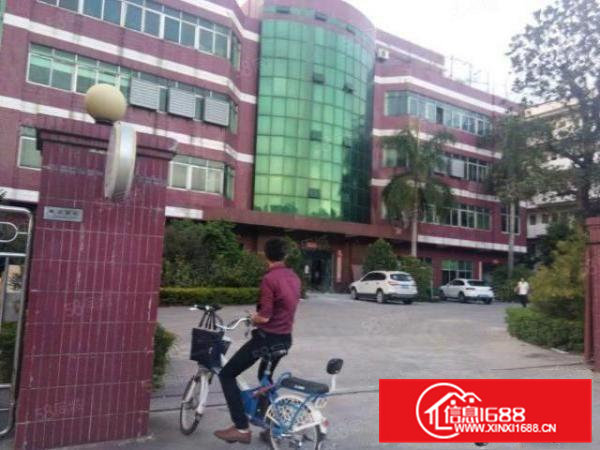 东莞东坑原房东独院厂房分租二楼800平米出租现成装修