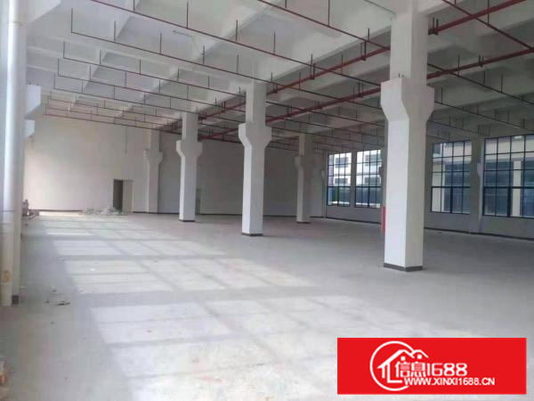 博罗罗阳全新大型自动氧化工业园共54000平方厂房出租