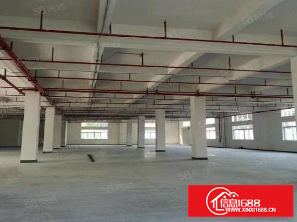 今日更新茶山厂房出租独院厂房招租