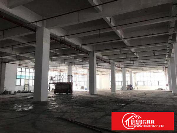 塘厦科苑城，新出一楼1900平方标准厂房，租21元，可分租