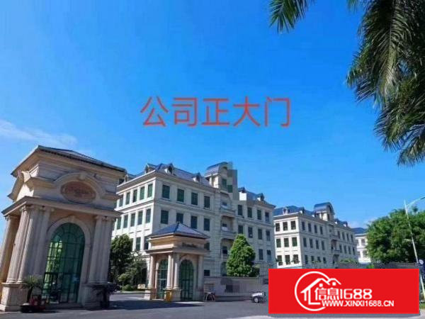 大岭山镇自有厂房高大上园区厂房一整层7966平方可办环评