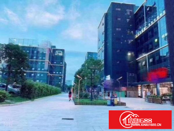 坂田十号线地铁站，全新装修写字楼出租