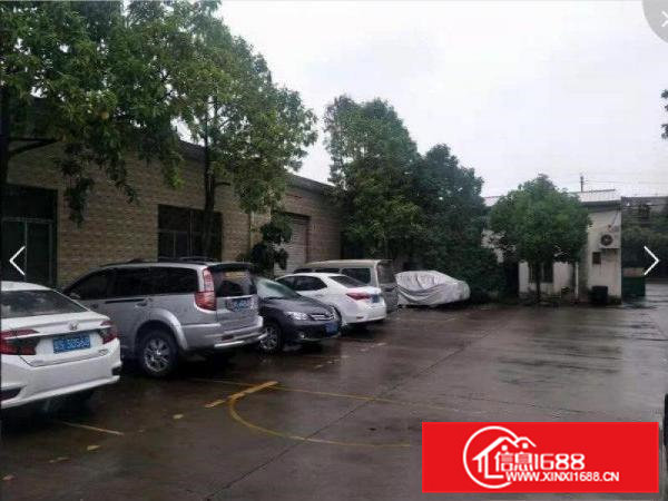 常平新出单一层钢构小厂房600平方招租，可做污染行业