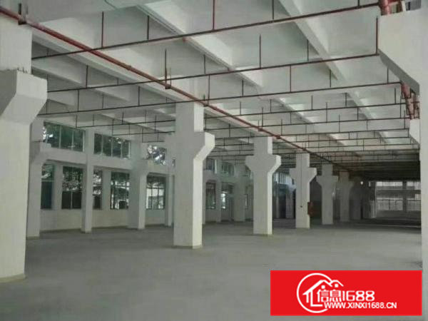 东莞凤岗全新厂房2600一层出租