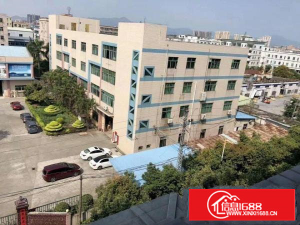 塘厦诸佛岭独院标准一楼860平方面积实在现成主线