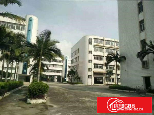 常平10万工业园厂房出租大小分租