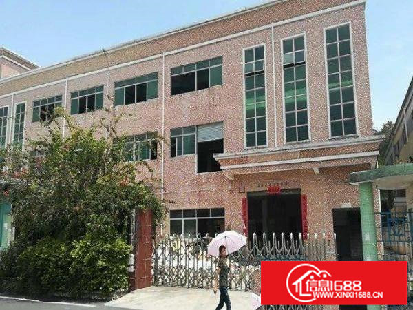 坑美正规厂房分租一楼1000平米