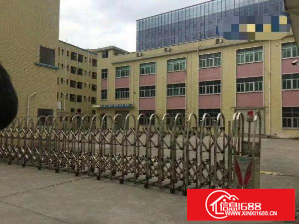 大富工业区观光路国道红绿灯附近独门独院三层6600