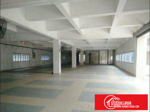 横沥田坑标准厂房一楼500平