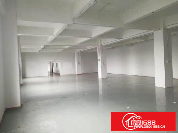 龙华大浪同富屯新出2层厂房共4000平左右出租