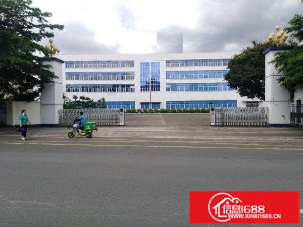 9米高一楼、厂房仓库急租