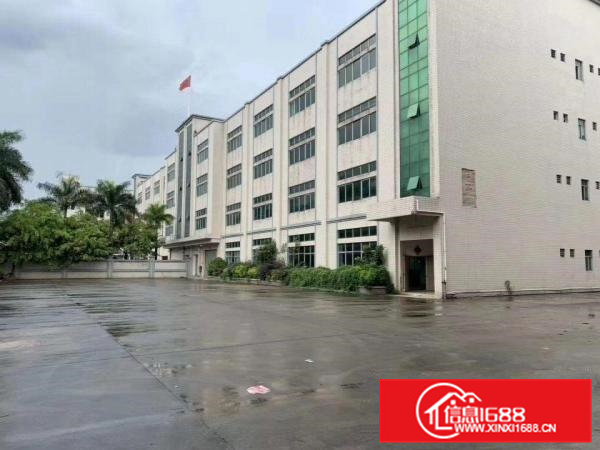 清溪镇三中新出一楼650平，11800全包，水电齐全。