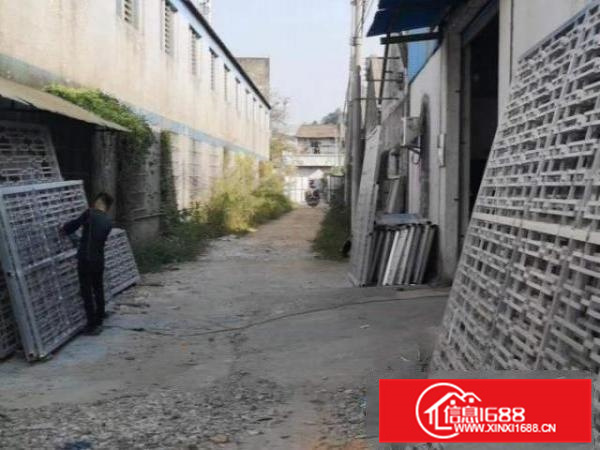 自建独立厂房出租，中介亦可咨询