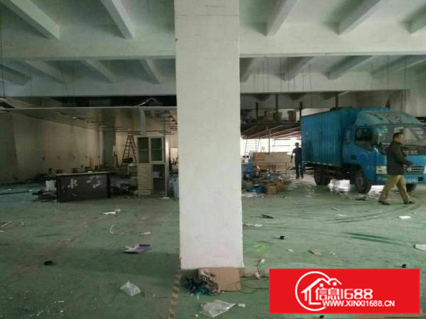 单一层8米钢结构8000平火爆招租