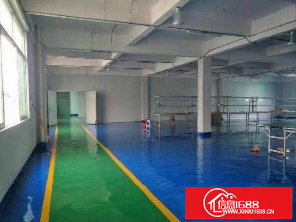 坂田和磡村业主分租一楼厂房1000方，带装修