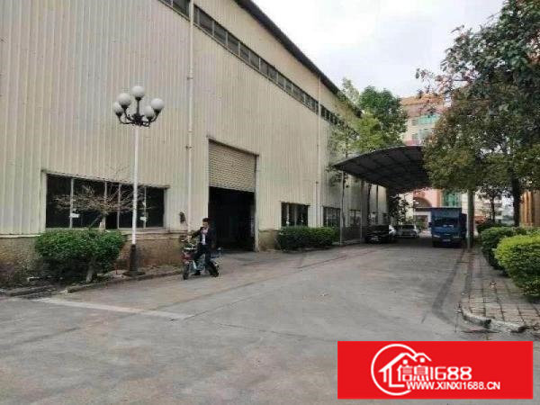 龙岗同乐原房东红本钢构厂房，3500平，滴水13米