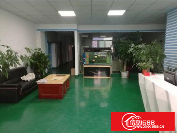 龙岗嶂背楼上1200平精装修厂房出租，免转让