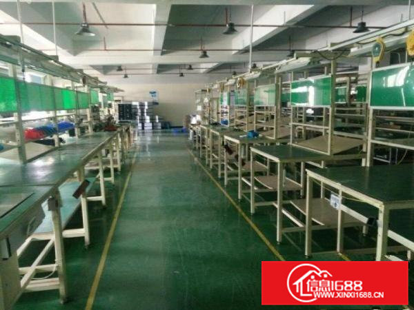 大岭山带豪华装修二楼3000平方有3吨电梯