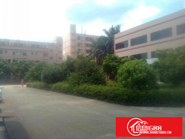 平湖独院高品质环境好3800平米厂房配有电梯写字楼