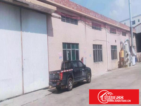 这么漂亮干净哪里找！单一层砖墙到顶钢结构1000平，滴水8米