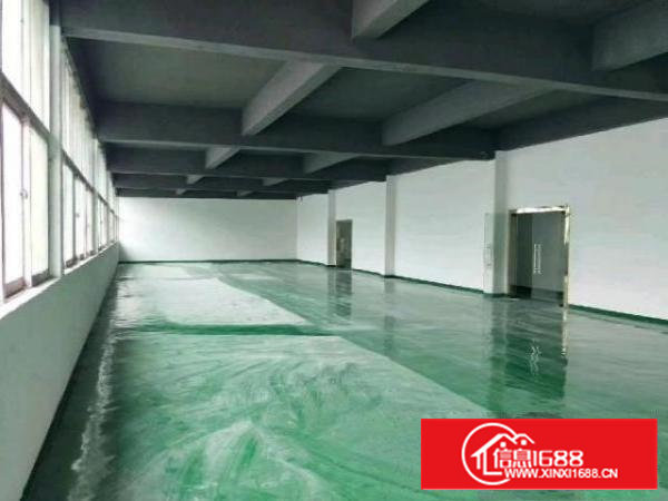 兴东200至300至500平米大小面积厂房仓库出租