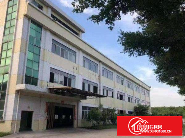 高埗新出一楼厂房1000平方，有现成办公室水电，可以办环评