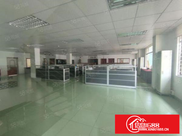 桥头镇大洲村原房东出租独立厂房一二楼2000平米，豪华装修