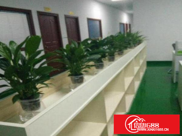 火爆推出，观澜松元新空出楼上500平精装修标准厂房